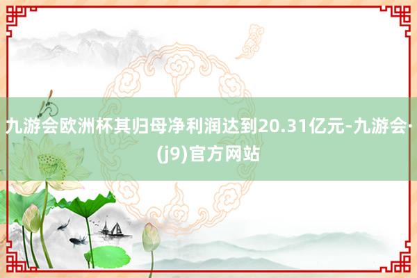 九游会欧洲杯其归母净利润达到20.31亿元-九游会·(j9)官方网站