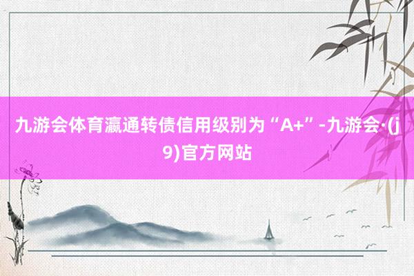 九游会体育瀛通转债信用级别为“A+”-九游会·(j9)官方网站